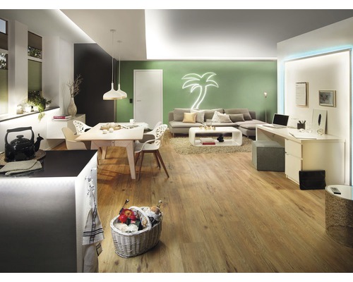 Helles Wohnzimmer mit Esstisch, Sofa, Schreibtisch und Holzboden