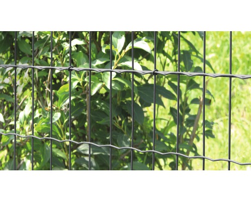 Clôture en treillis soudé devant des plantes vertes