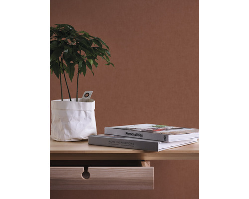 Plante d''intérieur décorative dans un pot en papier sur une table en bois avec des livres