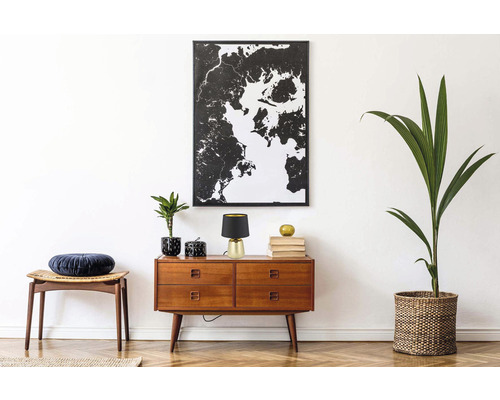 Salon avec commode, lampe de table, plante et tableau