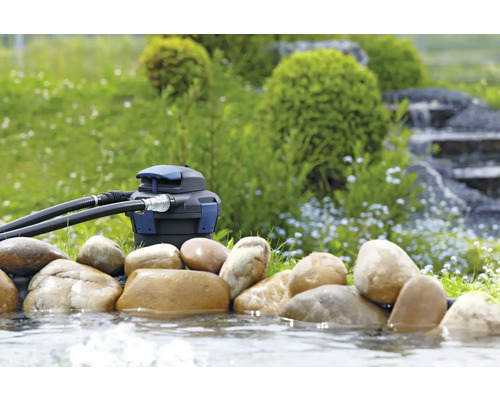 Filtre de bassin dans un bassin de jardin avec des pierres et des plantations