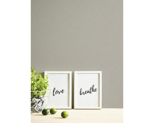 Scène décorative avec deux images encadrées avec les inscriptions Amour et Respiration, une plante et des citrons verts