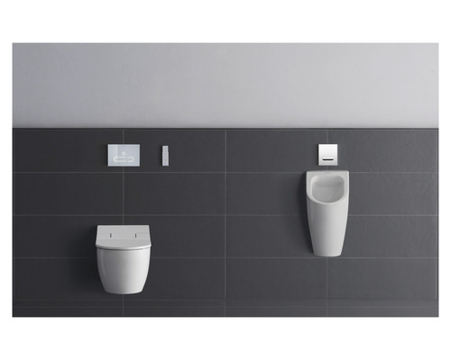 Salle de bains avec toilettes, urinoir et plaques de commande devant un mur gris