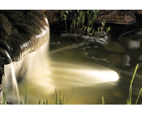 Bassin de jardin avec cascade et végétation riveraine
