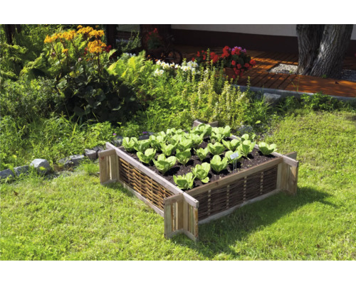 Jardinière surélevée en bois avec des salades dans le jardin