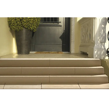 Zone d''entrée avec escalier en pierre, porte d''entrée et bac à plantes