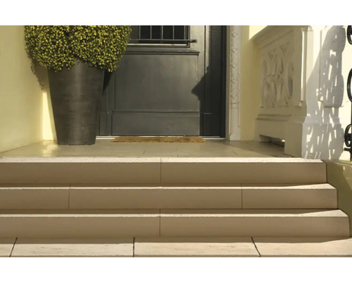 Zone d''entrée avec escalier en pierre, porte d''entrée et bac à plantes