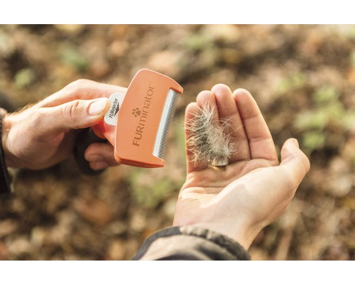 Personne tenant une étrille FURminator et des poils dans la main