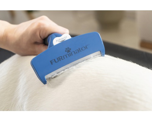 Eine Hand verwendet eine FURminator Fellbürste auf einem Hund.