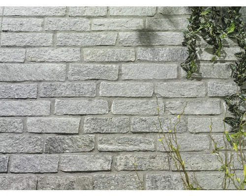 Mauer aus Stein mit Pflanzen