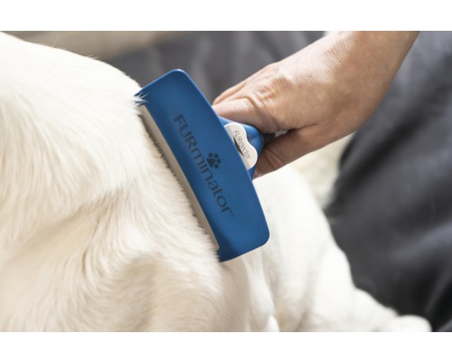 Hund wird mit einem FURminator Fellpflegekamm gebürstet