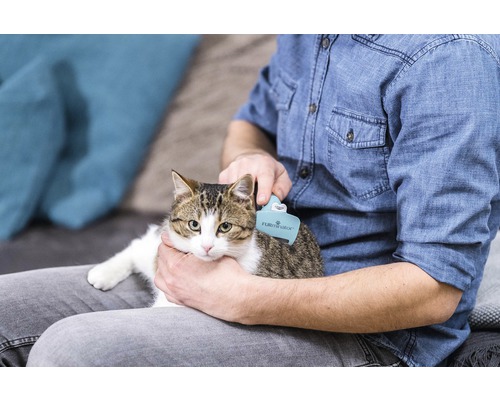 Une personne brosse un chat avec une brosse à fourrure Furminator