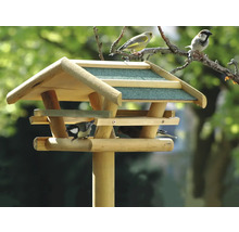 Vogelhaus aus Holz mit Vögeln auf Ästen und am Futterplatz