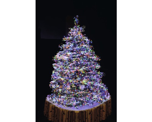 Arbre de Noël avec lumières et base en tronc d''arbre