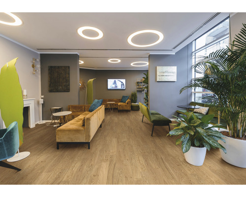 Intérieur avec parquet, canapés et plantes d''intérieur