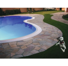 Piscine extérieure avec bordure en pierre et dalmatien dans le jardin
