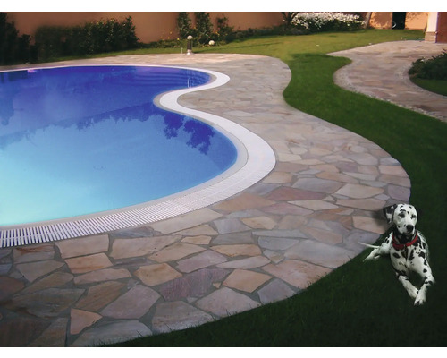 Piscine extérieure avec bordure en pierre et dalmatien dans le jardin