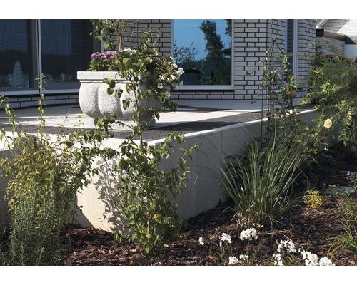 Scène de jardin avec plantes, fleurs et jardinière devant une maison