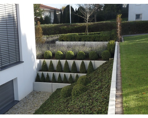 Jardin en terrasses avec arbustes d''ornement et pelouse.