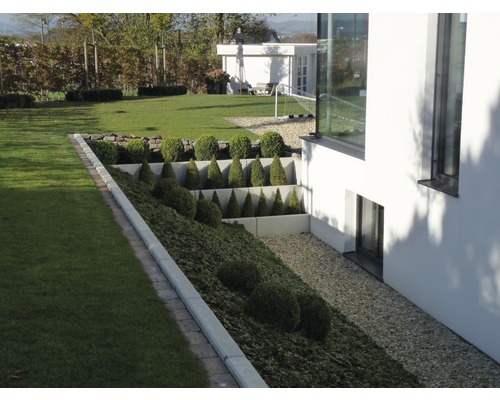 Vue d''un jardin avec pelouse, plantes et mur de soutènement