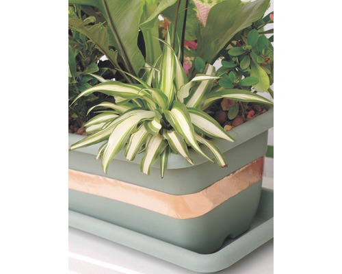 Bepflanzter Blumenkasten mit verschiedenen Pflanzen