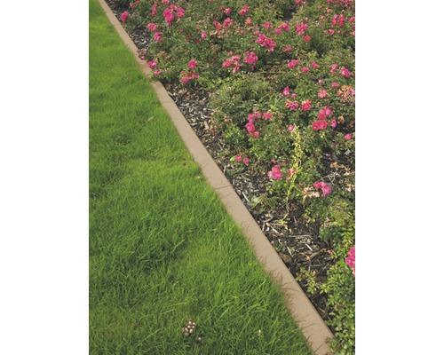 Aménagement paysager avec pelouse, fleurs et bordure de gazon