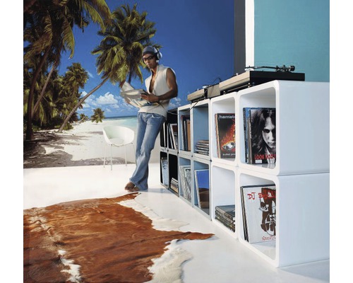 Scène d''habitation avec des étagères blanches, une platine et une personne avec un disque vinyle devant un papier peint de plage