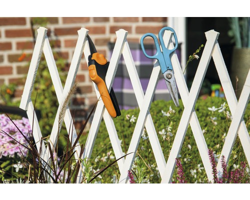 Scène de jardin avec sécateur et cisaille à haie sur une clôture de jardin blanche