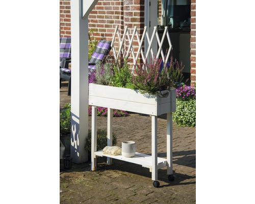 Jardinière en bois avec treillis et roulettes pour l''extérieur