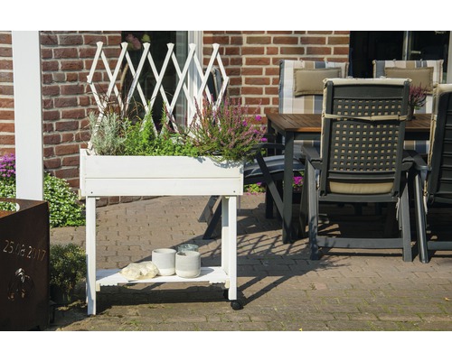 Une table de plantation blanche avec des plantes et une décoration de jardin à l''extérieur.