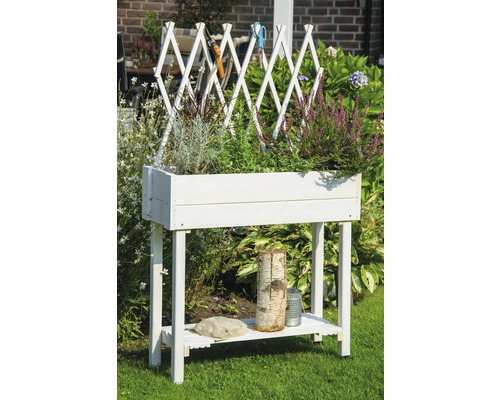 Jardinière surélevée en bois avec treillis dans le jardin