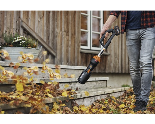 Une personne enlève les feuilles mortes d''un escalier devant une maison avec un souffleur de feuilles sans fil.