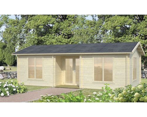 Maison de jardin en bois avec fenêtres et double porte dans le jardin