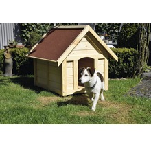 Hund verlässt eine Hundehütte aus Holz mit Bitumendach im Garten.