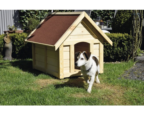 Hund verlässt eine Hundehütte aus Holz mit Bitumendach im Garten.
