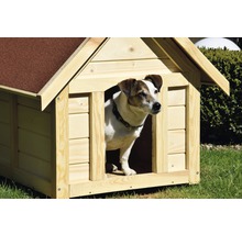 Hund im Hundehaus aus Holz mit Dach