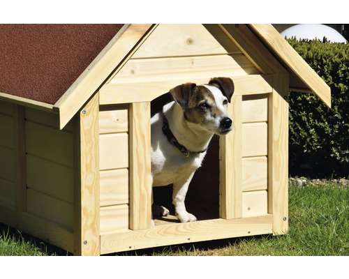 Hund im Hundehaus aus Holz mit Dach