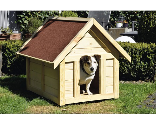 Hund im Holz-Hundehaus mit Bitumendach im Garten
