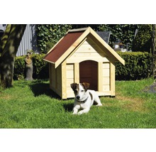 Holz Hundehütte mit Dachpappe und Hund im Garten