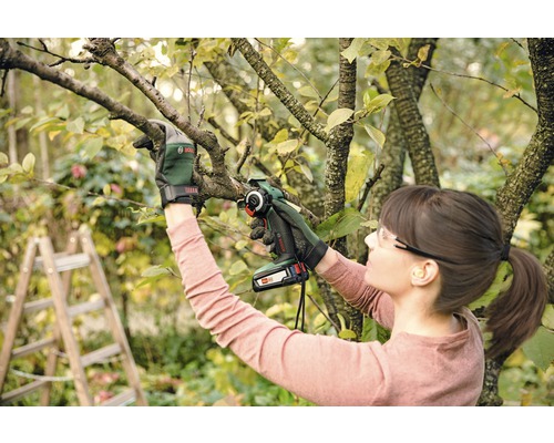 Une femme coupe les branches d''un arbre avec une scie à élaguer sans fil. Elle porte des lunettes de sécurité et des gants de jardinage.