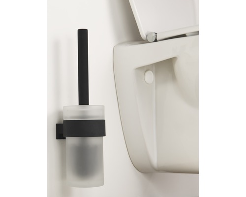 Brosse de toilette murale avec support en verre et métal