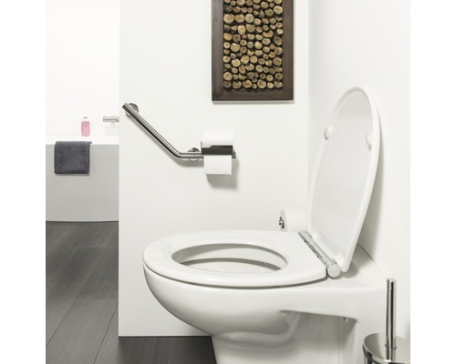 Badezimmer mit weißer Toilette, Haltegriff und Toilettenpapierhalter