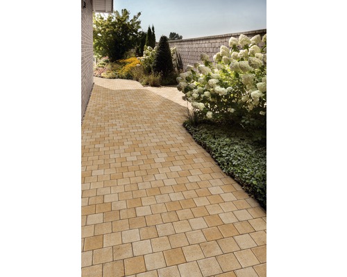 Chemin de jardin pavé de pavés rectangulaires