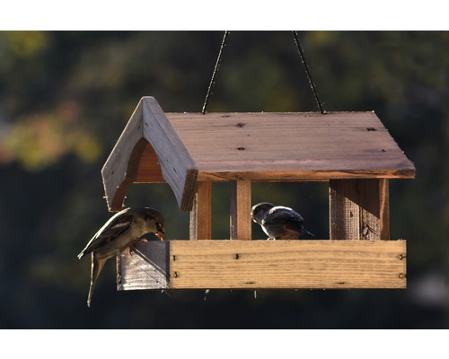 Mangeoire en bois avec deux oiseaux