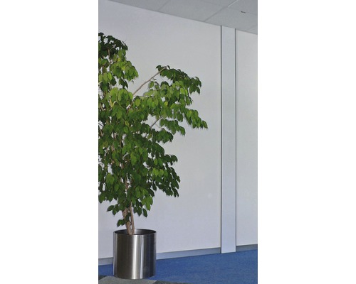 Zimmerpflanze im Metalleimer vor einer weissen Wand