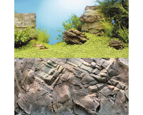 Fond d''aquarium avec motif de pierre et plantes vertes