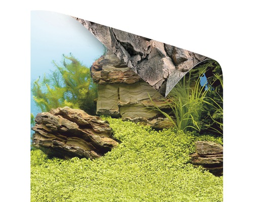 Arrière-plan d''aquarium avec des rochers et des plantes