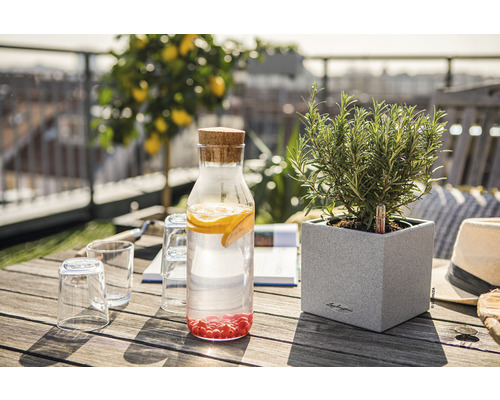 Scène de table avec distributeur de boissons, verres et pot d''herbes aromatiques sur une table en bois à l''extérieur