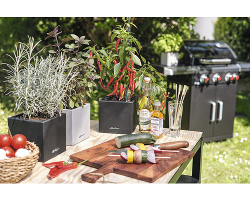 Scène avec des herbes aromatiques en pots, un barbecue et des grillades sur une table à l''extérieur.