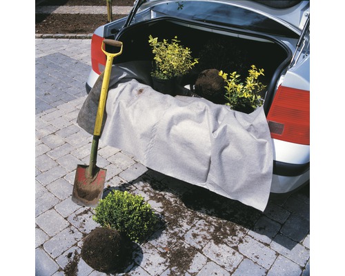 Plantes et bêche sur une bâche de protection dans le coffre d''une voiture